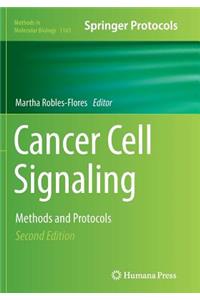 Cancer Cell Signaling