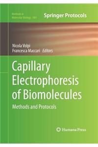 Capillary Electrophoresis of Biomolecules