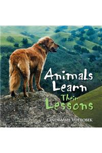 Animals Learn Their Lessons
