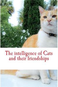 intelligence of Cats and their friendships