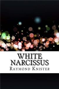 White Narcissus