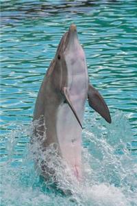 Tail Walking Dolphin Journal