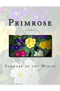 Primrose Notebook