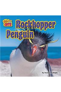 Rockhopper Penguin