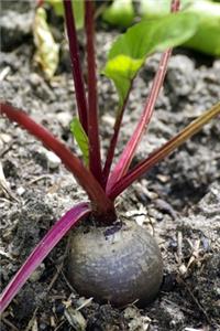 Beetroot in the Garden Journal