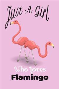 Just A Girl Who Loves flamingo notebook journal for girls - pink