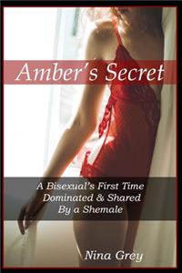 Secrets of Amber : Come Walk With Me in My Beloved Amber: Rashmi Dickinson:  9780670093168: : Books