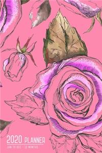 Planner 2020 12 Months