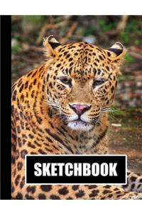 Sketchbook