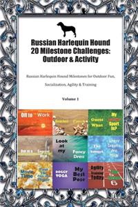 Russian Harlequin Hound 20 Milestone Challenges