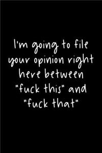 I'm Going To File Your Opinion Right Here Between 
