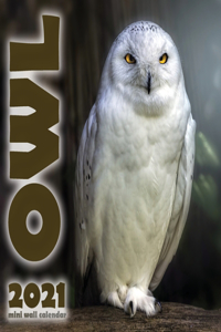 The Owl 2021 Mini Wall Calendar