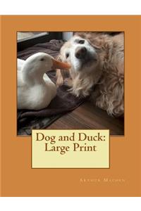 Dog and Duck