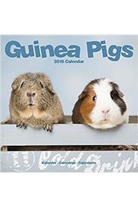 Guinea Pigs Calendar 2018