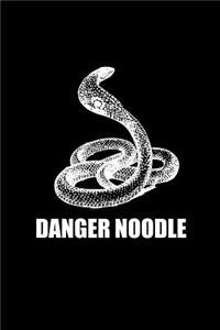 Danger Noodle