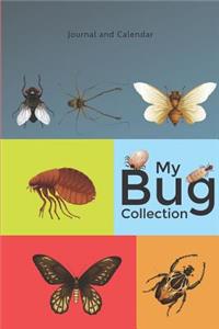My Bug Collection
