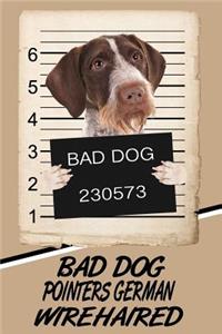Bad Dog Pointers German Wirehaired