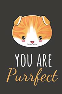 You Are Purrfect