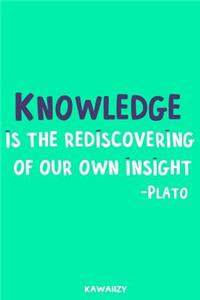 Knowledge Is the Rediscovering of Our Own Insight - Plato