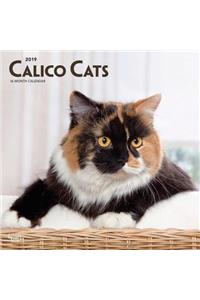 Calico Cats 2019 Square Wall Calendar