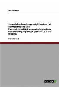 Steuerliche Gestaltungsmoglichkeiten Bei Der Ubertragung Von Einzelwirtschaftsgutern Unter Besonderer Berucksichtigung Des 6 (5) Estg I.D.F. Des Untst