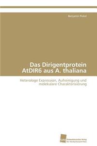 Dirigentprotein AtDIR6 aus A. thaliana