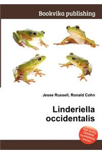 Linderiella Occidentalis