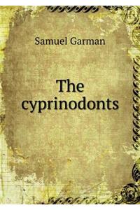 The Cyprinodonts