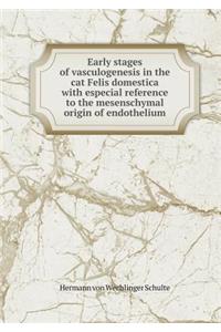 Early stages of vasculogenesis in the cat Felis domestica with especial reference to the mesenschymal origin of endothelium