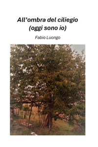 All'ombra del ciliegio