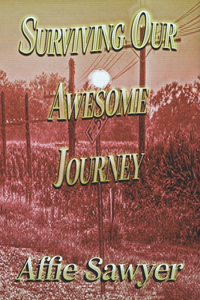Surviving the Awesome Journey