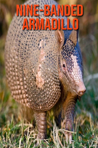 Nine-Banded Armadillo