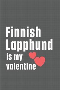 Finnish Lapphund is my valentine