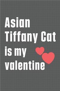 Asian Tiffany Cat is my valentine
