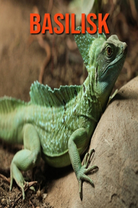 Basilisk: Super Fun Facts And Amazing Pictures