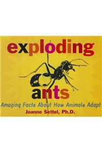 Storytown: Challenge Trade Book Story 2008 Grade 4 Exploding Ants