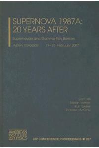 Supernova 1987A - 20 Years After
