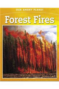 Forest Fires