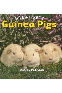 Guinea Pigs