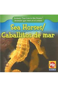 Sea Horses / Caballitos de Mar