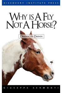 Why Is a Fly Not a Horse?