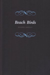 Beach Birds