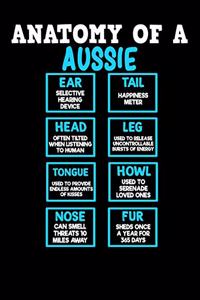 Anatomy of a Aussie