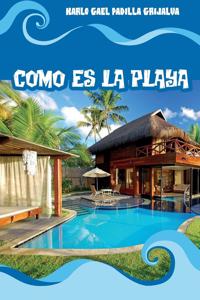 Cómo es la playa
