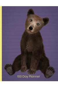 100 Day Planner