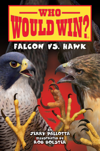 Falcon vs. Hawk