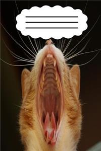 Cat Diary