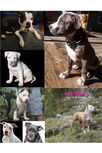 Pit Bull Sketch Book