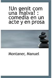 Un Genit Com Una Malva: Comedia En Un Acte y En Prosa