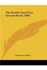 The Slender Seed-Corn Ground-Beetle (1909)